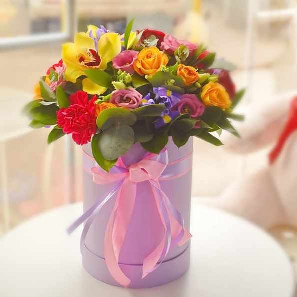 Hat Boxes & Living Vases