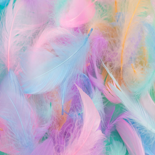 Feathers