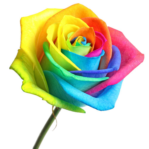 Multicolour