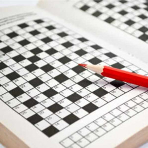 Puzzle Books