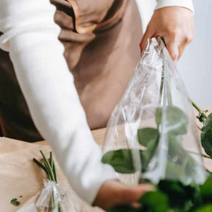Packaging & Wrap