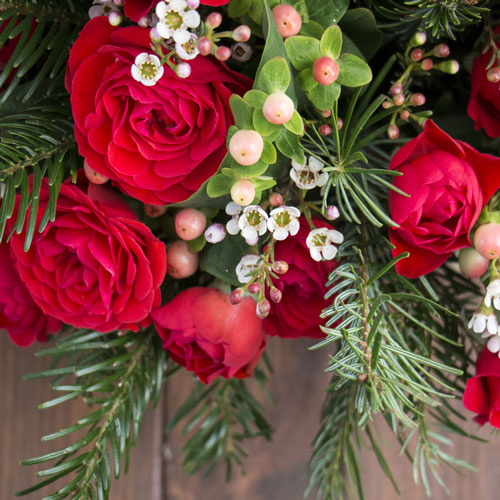 Christmas Flowers