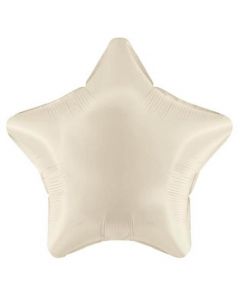 19" SILVER STAR (UNPACKAGED) 10006S