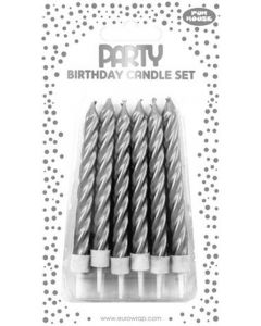 Silver Metallic Birthday Candles with Holders Fun House