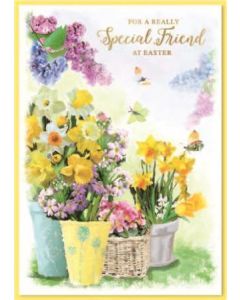 Special Friend C50 PK6 Simon Elvin