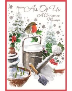 PK6 CARDS FROM ALL ROBINS C50 32220-FROM ALL
