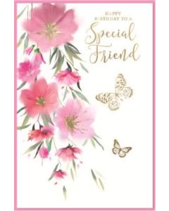 Special Friend Pk6 C75 Simon Elvin