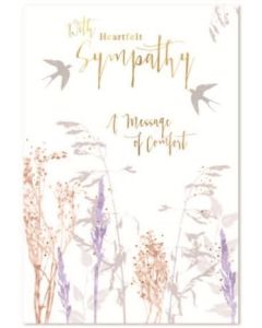 Sympathy C50 Pk6 Simon Elvin