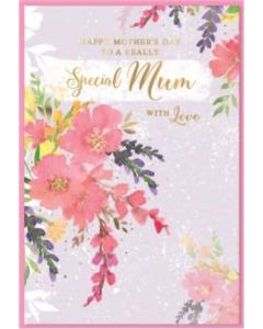 Mum PK6 C50 Simon Elvin