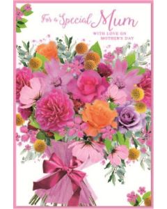 Mum PK6 C75 Simon Elvin