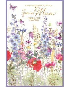 Mum PK6 C75 Simon Elvin