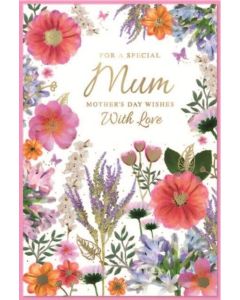 Mum PK6 C75 Simon Elvin