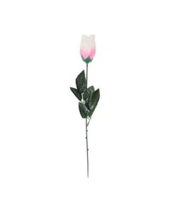 PINK ROSE IN ACETATE - 33607-RC
