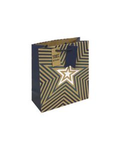 Medium Gift Bags Pack of 6 Eurowrap