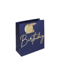 Medium Gift Bags Pack of 6 Eurowrap