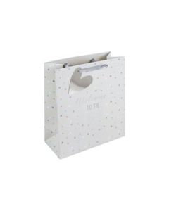 Medium Gift Bags Pack of 6 Eurowrap