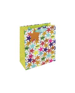 Medium Gift Bags Pack of 6 Eurowrap