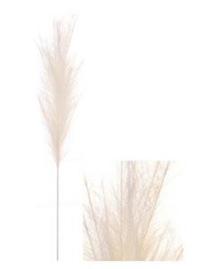 Stem Pampas Plume Ivory