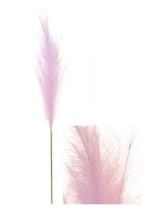 Stem Pampas Plume Pink