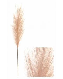 Stem Pampas Plume Beige