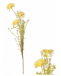 Stem Silk Tree Flower Ochre Yellow