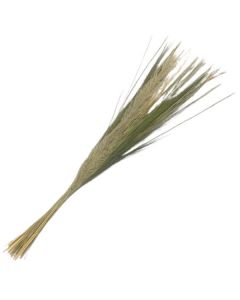 Bouquet Dried Grass 100cm Natural