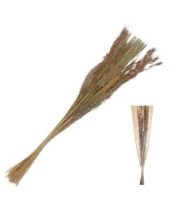 Bouquet Dried Grass 100cm Natural