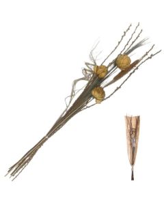 Bouquet Dried Grass 100cm Natural