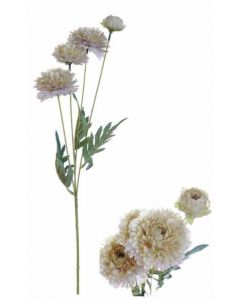Flowerstem 4 Zinnias Beige