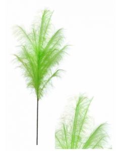 Stem Pampas Plume Green