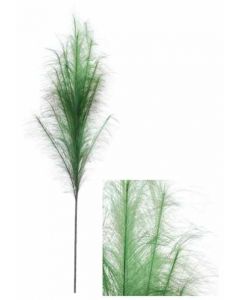 Stem Pampas Plume Dark Green