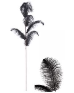 Stem Ostrich Feather Black
