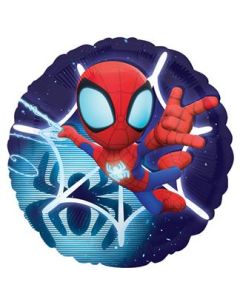 Standard HX®Spidey & His Amazing Friends Anagram