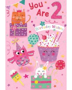Age 2 C50 Pk6 Cards Simon Elvin