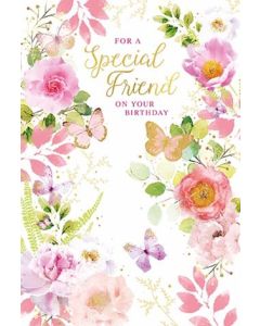 Special Friend C50 Pk6 Simon Elvin