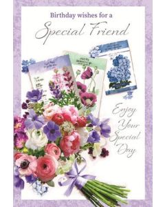 Special Friend C50 Pk6 Simon Elvin