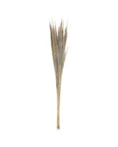 Bundle Broom Grass 100cm White Washed