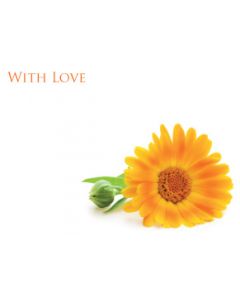 With Love Cards Pk6
