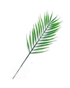 Plastic Fern Leaf 44cm Pk12 Florist Supplies