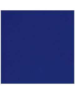 20 True Navy Blue Lunch Napkin Unique