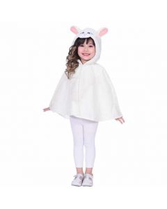 Sheep 4-6 Years