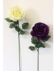 Single Rose Stem