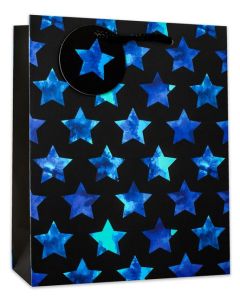 Medium Gift Bags Pack of 6 Simon Elvin