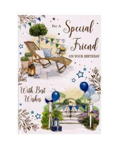 Special Friend C50 Pk6 Xpress Yourself