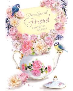 Special Friend C50 Pk6 Simon Elvin