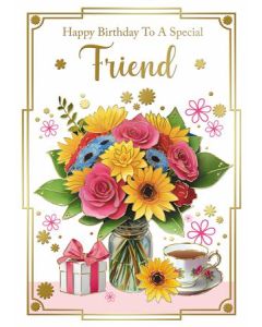 Friend C50 Pk12 Silverline