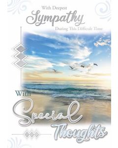 Sympathy C50 Pk12 Silverline