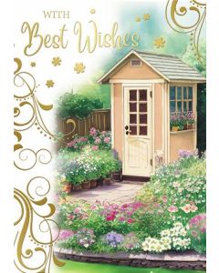 Best Wishes C50 Pk12 Silverline
