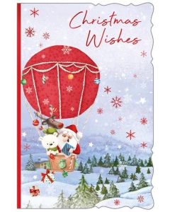 Open Male Juv C75 Pk6