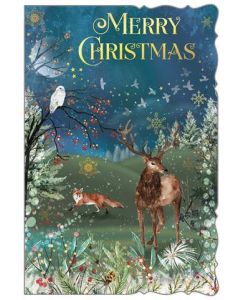 Open C75 Pk6 Out Of The Blue